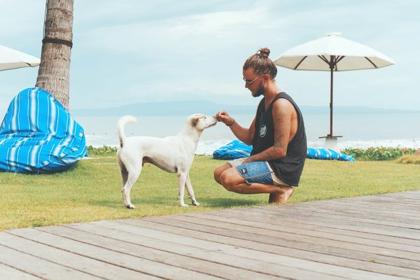 Quelle est l'alimentation adaptée à chaque espèce et à chaque âge d'animal ?