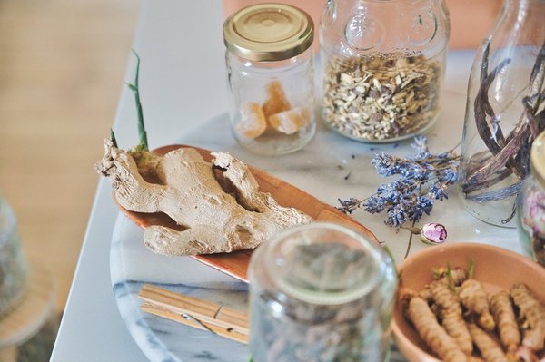 Quelles sont les précautions à prendre avec la phytothérapie et l'aromathérapie pour les animaux ?