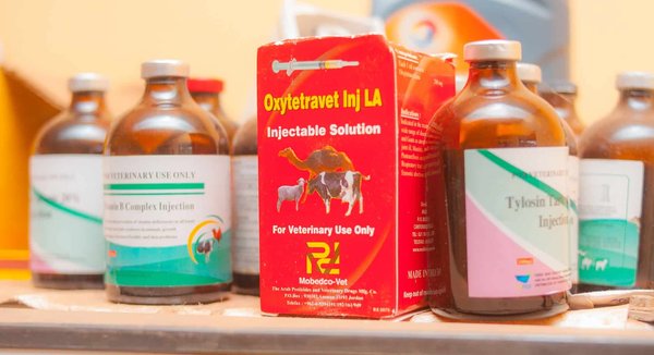 Comment choisir les produits vétérinaires adaptés à son animal ?