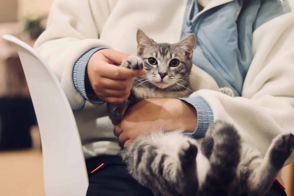 Comment utiliser et conserver les produits vétérinaires pour son animal ?